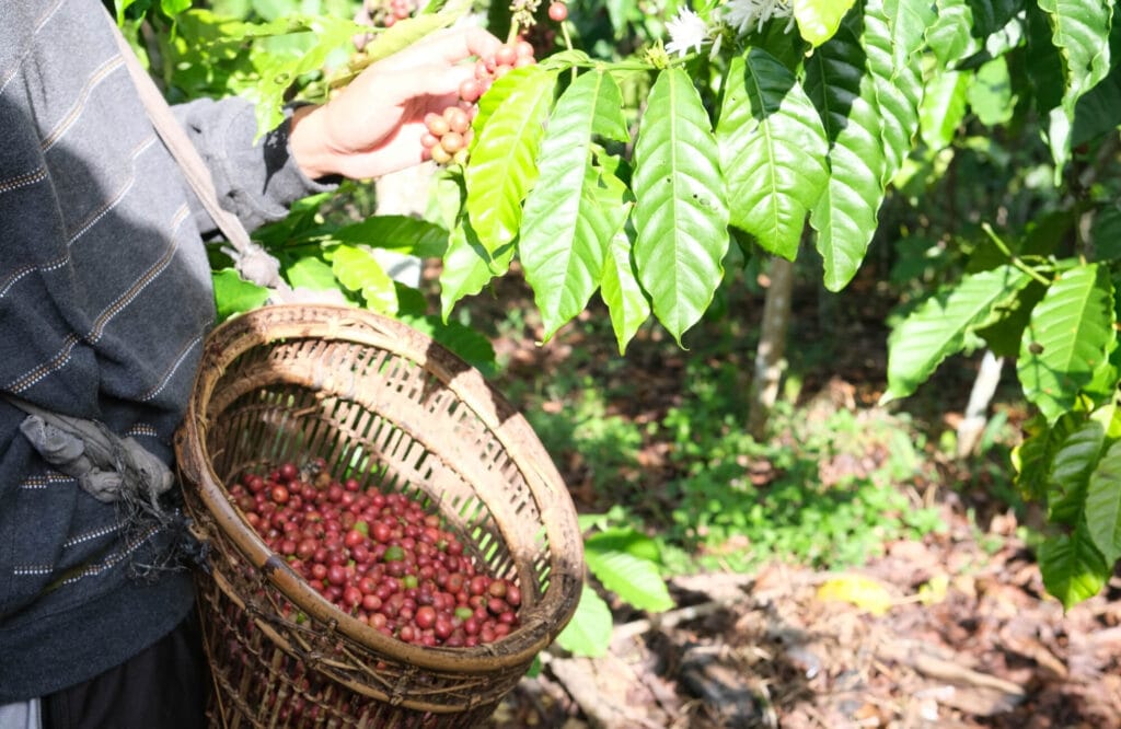 Fazenda Ambiental Fortaleza 3 1
