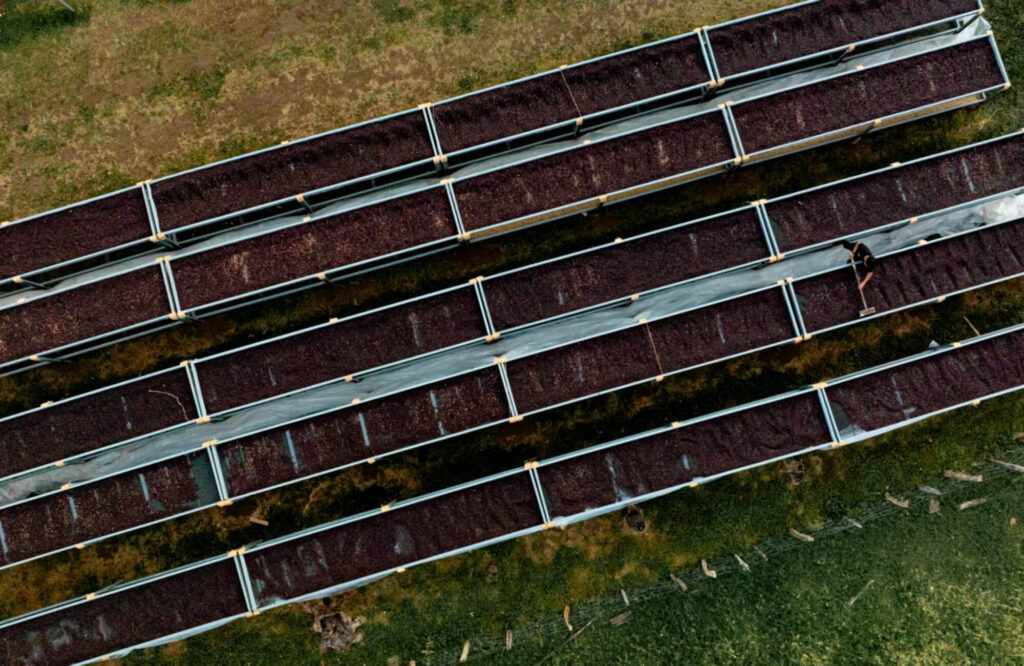 Hacienda La Esmeralda2 1