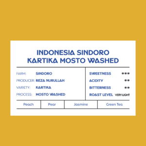 Indonesia Sindoro Kartika Mosto Washed