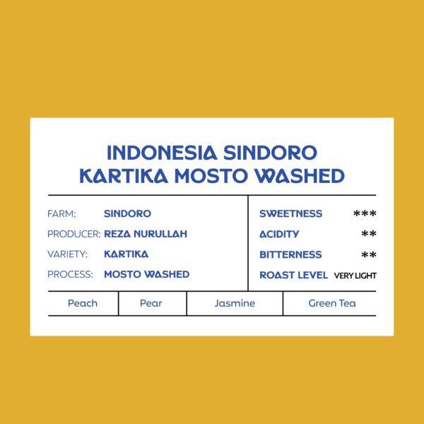 Indonesia Sindoro Kartika Mosto Washed