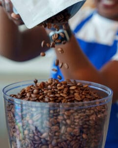 Looking for coffee for your café?